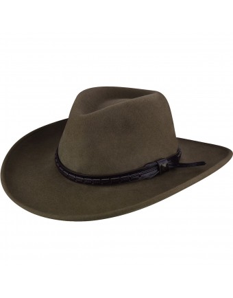 Bailey of Hollywood Wind River Firehole Outback Tawny