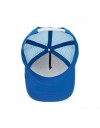 Goorin Bros. trucker the cougar blue