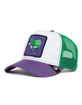 Goorin Bros. trucker trucker donkey trip green